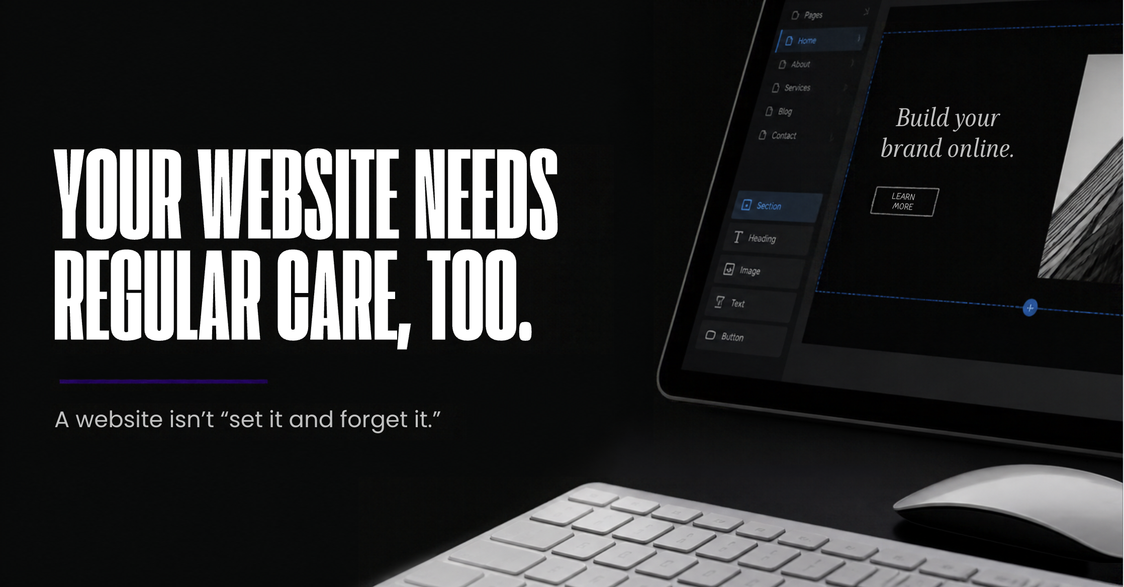 Kamelda's Designs announces Website Care Packages